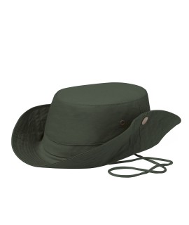 Safari