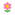 FLOR